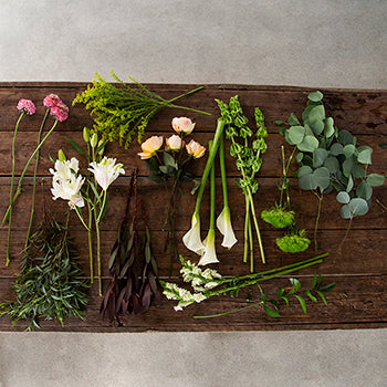 Shift Exclusive Flower Collection