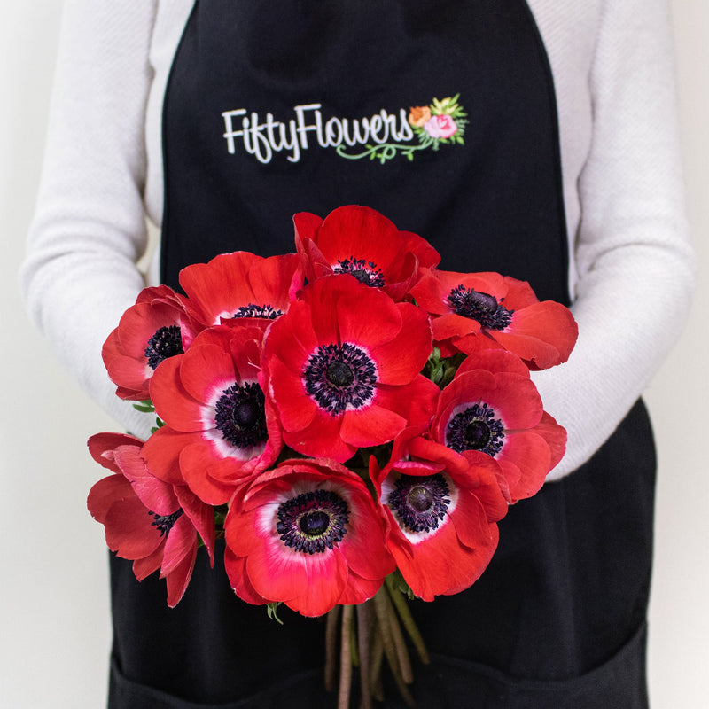 Red Anemone Wholesale Flower Bunch In a Hand