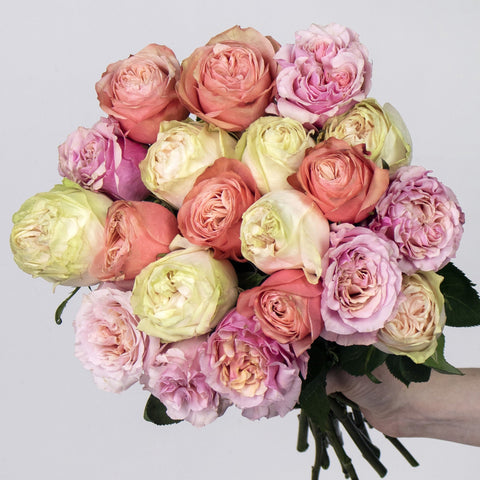 Coral Rose Wholesale Flower Bouquet In a Hand