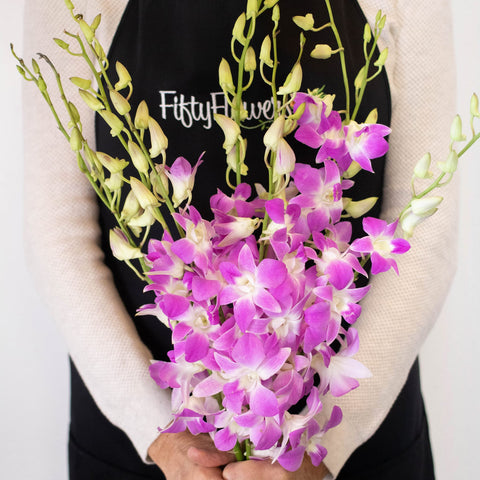 Orchids Pinky Lavender Wholesale Flower Bunch In a Hand