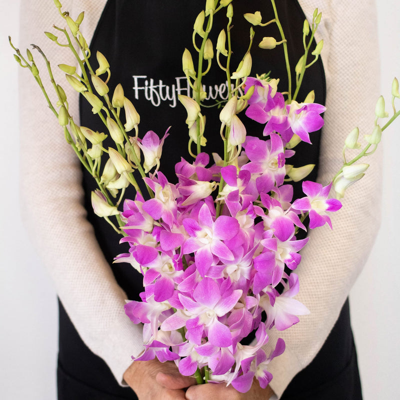 Orchids Pinky Lavender Wholesale Flower Bunch In a Hand