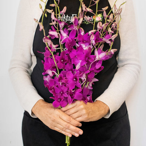 Orchids Purpleberry Wholesale Flower Bunch In a Hand