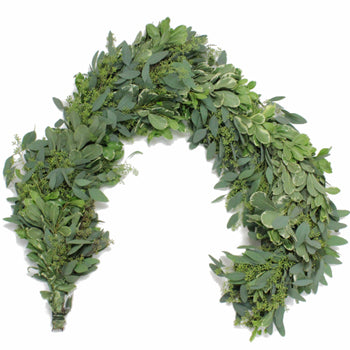 Seeded Eucalyptus and Pittosporum Wholesale FlayLay
