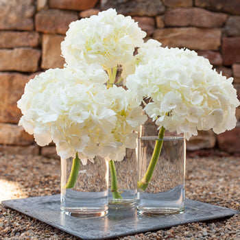 Simply Lush White Hydrangea Wholesale Flower In a vases