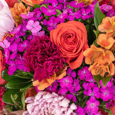Love and Comfort Wedding Flower Close Up