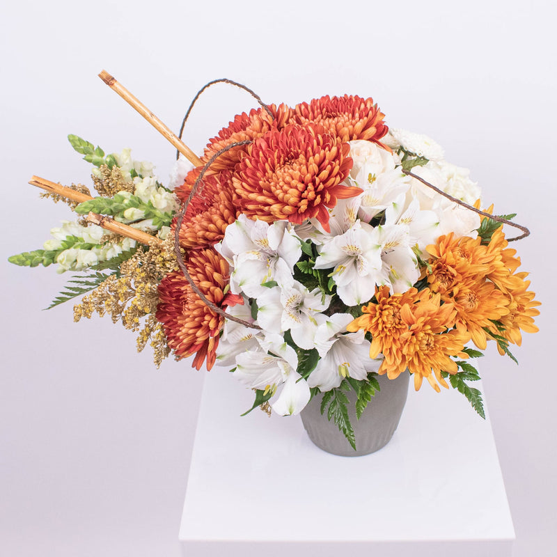 Dreams In Bronze DIY Flower Kit
