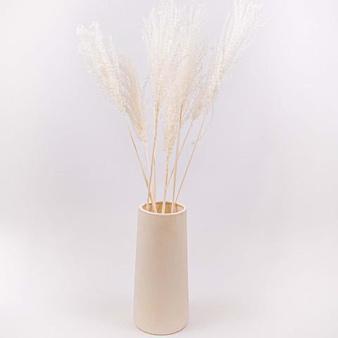 Dried Bleached Miscanthus Flower Bunch in Vase