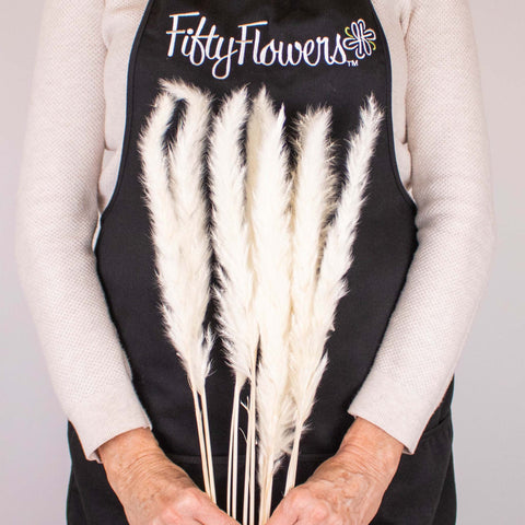 Dried Bleached Tail Reed Flower Bunch in Hand