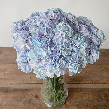 Dusty Blue Carnation Wedding Flowers in a Vase