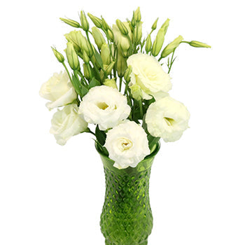 White Lisianthus Flowers Express Delivery