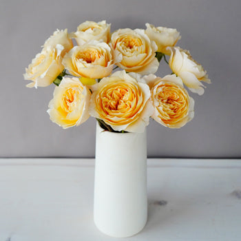 Effie Ausgrey Light Orange Garden Wholesale Roses In a vase