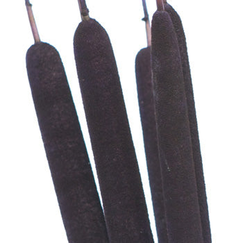 Eggplant Purple Airbrushed Cattails