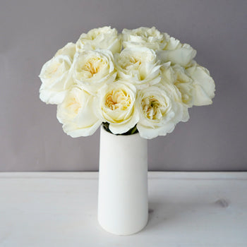 Ella Auswagsy White Garden Wholesale Roses In a vase