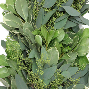 Seeded Eucalyptus and Variegated Pittosporum Garland Up Close