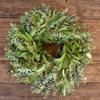 Eucalyptus and Bay Leaf Wreath Wholesale FlatLay
