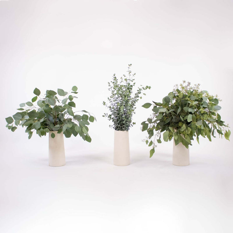 Eucalyptus Mixed Pack in white vases