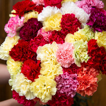 Ready To Go Wholesale Centerpieces Card