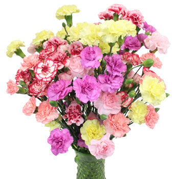 Farm Mix Mini Carnation Flowers In a vase