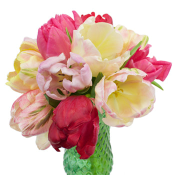 Farm Mix Parrot Tulip Wholesale Flower In a vase