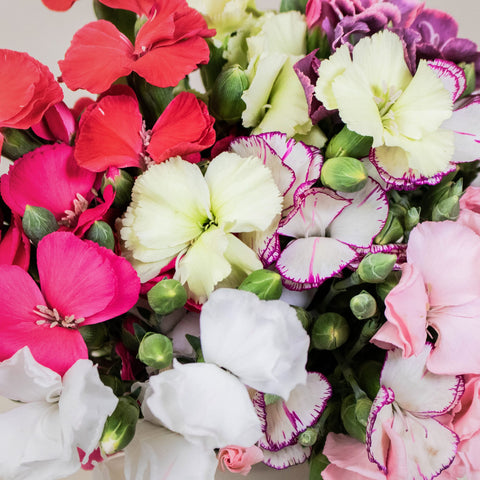 Farm Mix Solomio Wholesale Flowers Upclose