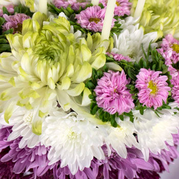 Tasty Pink Cake DIY Flowers Kit