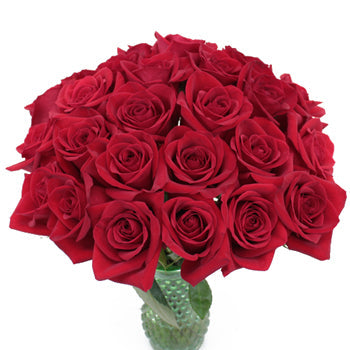 Freedom Red Rose Express Delivery