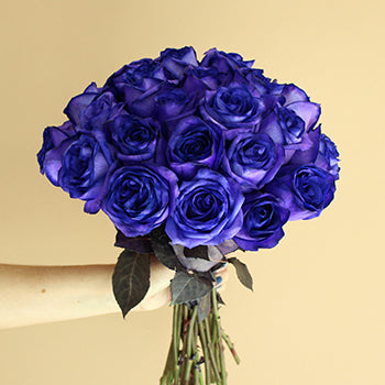 Fresh cut purple roses sold online for flower gifting