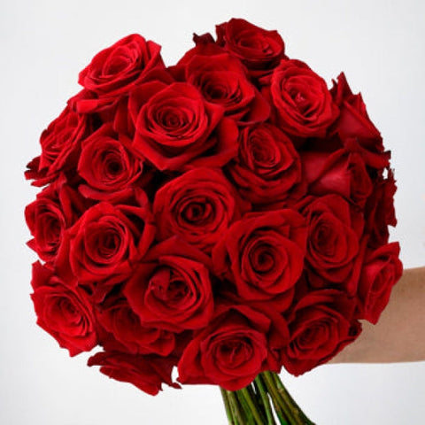 Fresh Freedom Red Roses Arrangements