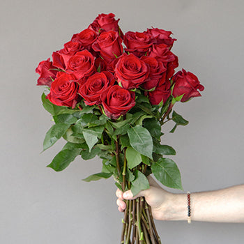 Fortune Red Roses Fresh Cut