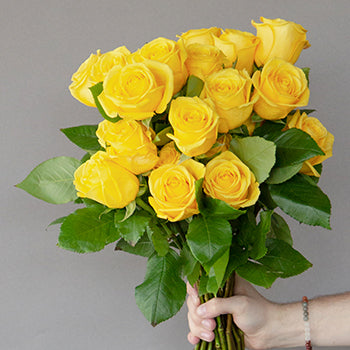Bright Sun Yellow Fresh Cut Roses