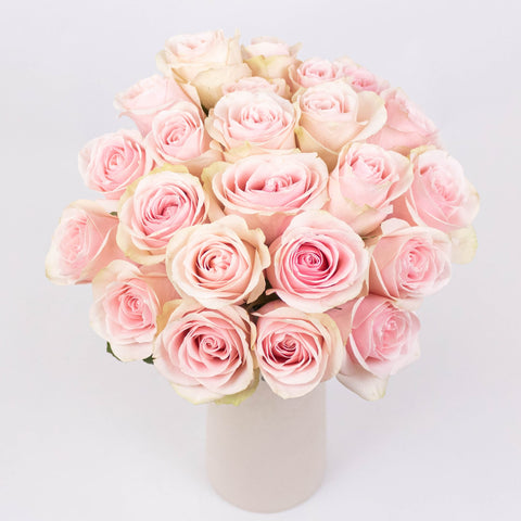 Frutteto Light Pink Roses in Vase