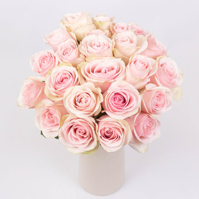 Frutteto Light Pink Roses in Vase