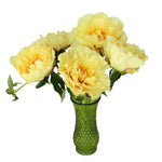 Garden Treasure Peony for April