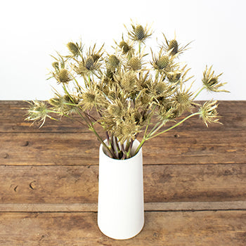 Golden Tinted Thistle Wholesale Flower In a vase