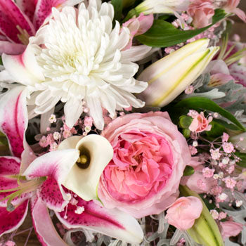 Pink Frosting DIY Fresh Flower Kit