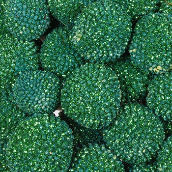 Craspedia Billy Balls Glitter Green Flower