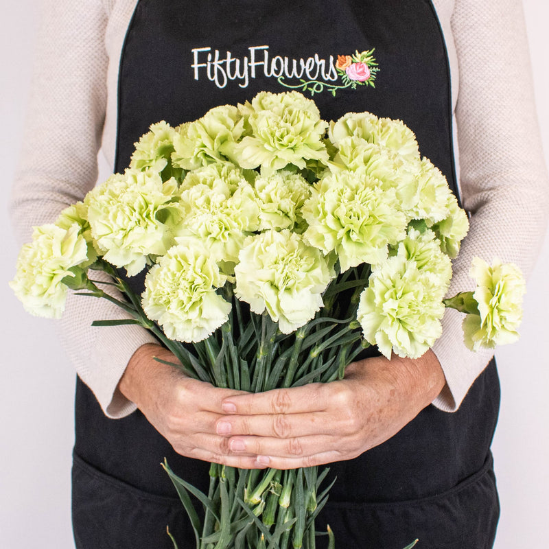 Mint Green Carnation Bunch in Hand