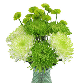 Pea Pod DIY Wedding Flower Pack