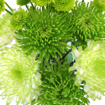 Pea Pod DIY Wedding Flower Pack