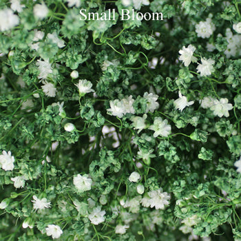 Baby's Breath Olive Green Flower