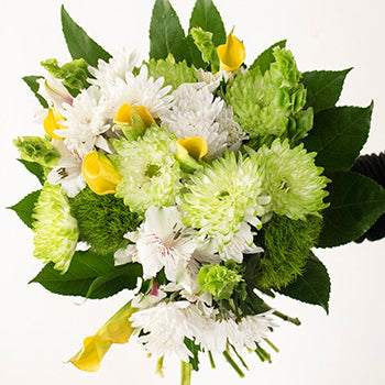 Morning Brunch Yellow and Green Flower Bouquet