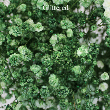 Baby's Breath Olive Green Flower