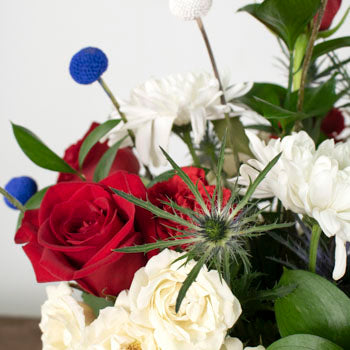 Patriotic Red White and Blue Design Class