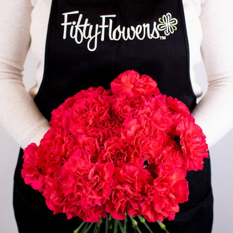 Hot Pink Carnation Flower Bunch in Hand