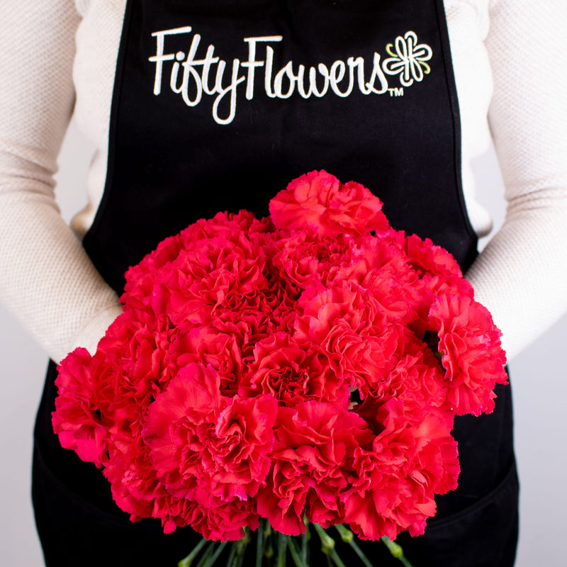 Hot Pink Carnation Flower Bunch in Hand
