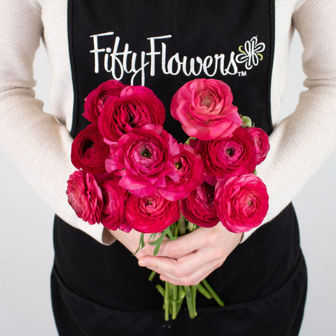 Hot Pink Ranunculus Flower Bunch in Hand