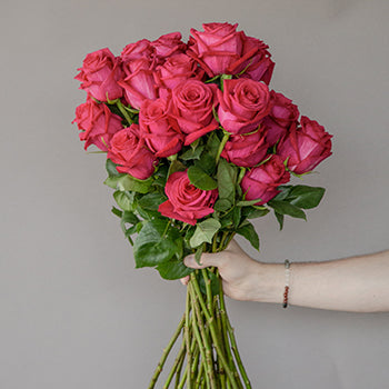 Grace Kelly Hot Pink Roses