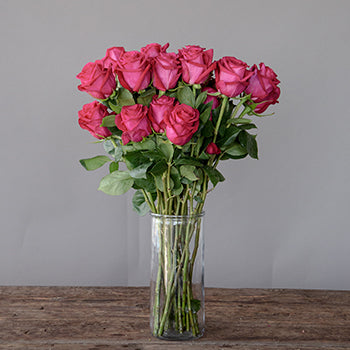 Grace Kelly Hot Pink Roses