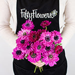 Hot Pink Star Anemone Flower Bunch in Hand