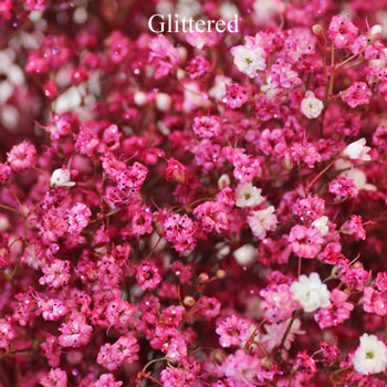 Hot Pink Airbrushed Baby's Breath